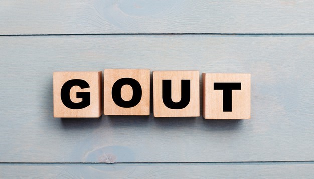 “Gout” The disease of kings?! & Tips to prevent further attacks